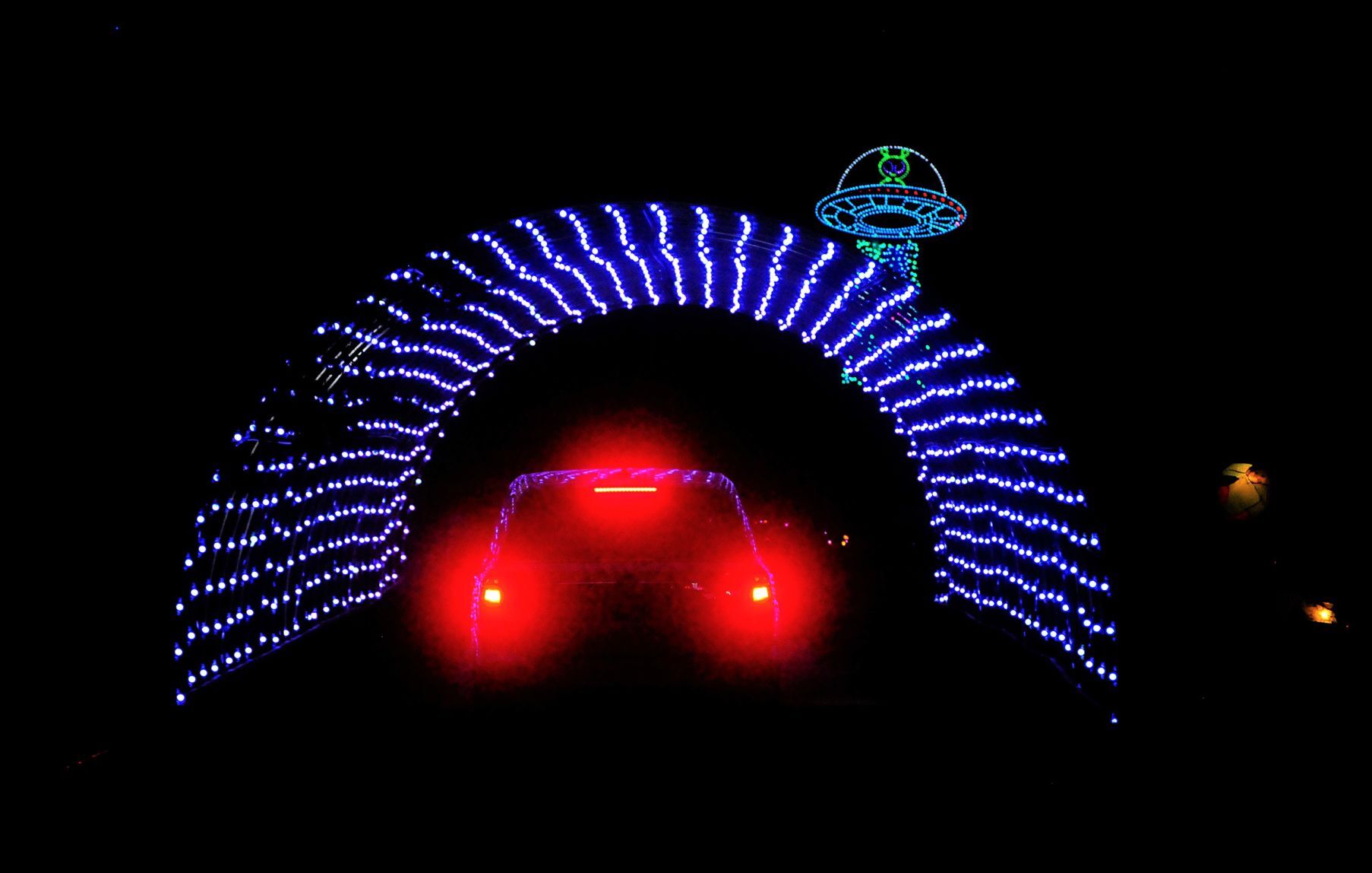 Halloween Glow at the Racine Zoo